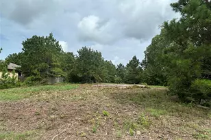 158 Cardinal Loop, Paige, TX 78659 - Photo 5