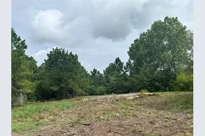 158 Cardinal Loop, Paige, TX 78659 - Photo 7