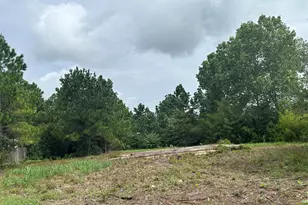 158 Cardinal Loop, Paige, TX 78659 - Photo 7
