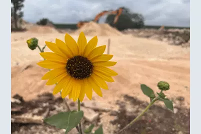 207 Liberty Oaks Boulevard, Belton, TX 76513 - Photo 5