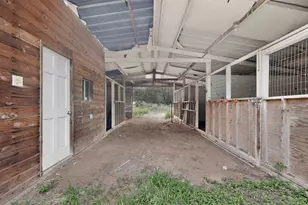 581 Fm 2336, Bastrop, TX 78602 - Photo 13