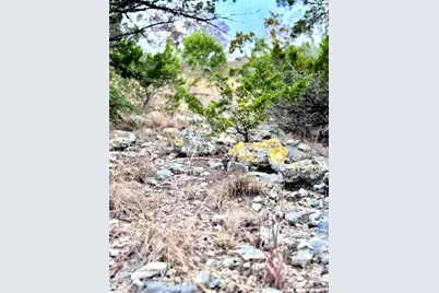 424 Armadillo Trail Drive E, Center Point, TX 78013 - Photo 7