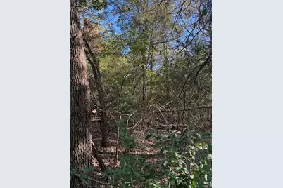 125 Helemano Drive, Bastrop, TX 78602 - Photo 1