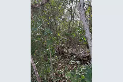 Lot 20 Flint Ridge Street, Bastrop, TX 78602 - Photo 9