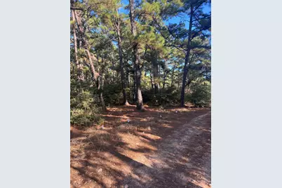 Tbd Pine Lodge Drive, Bastrop, TX 78602 - Photo 1