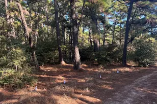 Tbd Pine Lodge Dr, Bastrop, TX 78602 - Photo 1