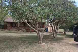 1531 Co Rd 269, Leander, TX 78641 - Photo 3