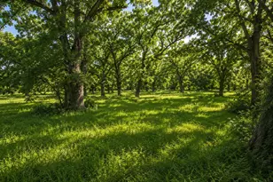 [Address not provided], Luling, TX 78648 - Photo 15