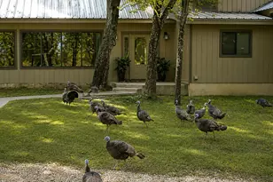 [Address not provided], Luling, TX 78648 - Photo 7