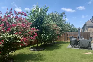 1335 Gruene Glen St, New Braunfels, TX 78132 - Photo 25