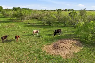 20326 FM 969, Webberville, TX 78653 - Photo 29