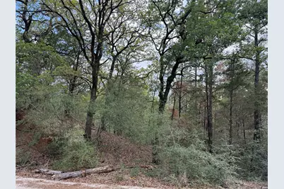 125 Lamaloa Lane, Bastrop, TX 78602 - Photo 3