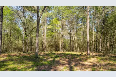 000 Bighorn Road, Huntsville, TX 77340 - Photo 11