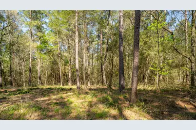 000 Bighorn Road, Huntsville, TX 77340 - Photo 19