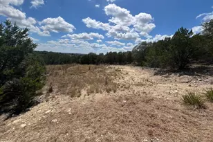 20705 Hayes Cove, Lago Vista, TX 78645 - Photo 1