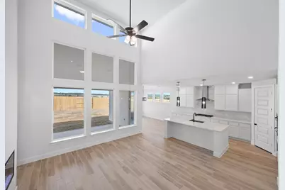 317 Horsemint Lane, Georgetown, TX 78633 - Photo 3