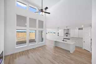 317 Horsemint Ln, Georgetown, TX 78633 - Photo 3