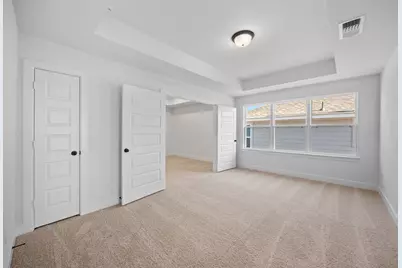 317 Horsemint Lane, Georgetown, TX 78633 - Photo 19