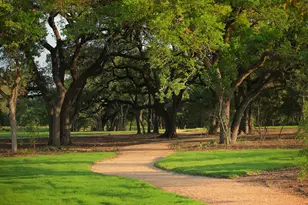 408 Texas Sky Dr, Georgetown, TX 78628 - Photo 39