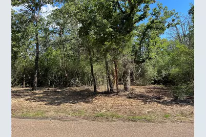 Lot 1 & 2 & 3 Old Lockhart Road, Plum, TX 78952 - Photo 1