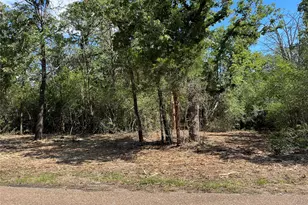 Lot 1 & 2 & 3 Old Lockhart Rd, Plum, TX 78952 - Photo 1