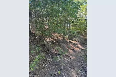 Lot 1355 N Kaupo Drive, Bastrop, TX 78602 - Photo 5