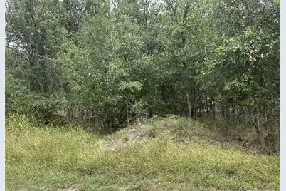 107 Halawa Court, Bastrop, TX 78602 - Photo 5