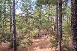 176 Briar Forest Dr, Bastrop, TX 78602 - Photo 33