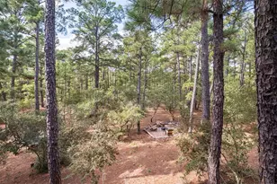 176 Briar Forest Dr, Bastrop, TX 78602 - Photo 33