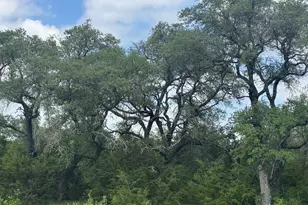 Lot 40 Maverick Way, Briggs, TX 78608 - Photo 1