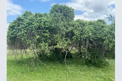 Lot 40 Maverick Way, Briggs, TX 78608 - Photo 7