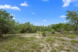 31860 Mirela Ann Rd, Dripping Springs, TX 78620 - Photo 1