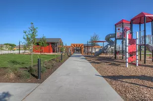 490 Evergreen Sumac Loop, Kyle, TX 78640 - Photo 31