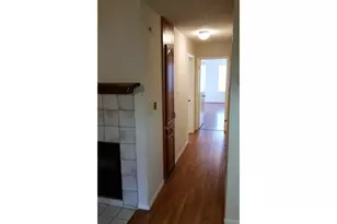 203 E 31st St, Austin, TX 78705 - Photo 5