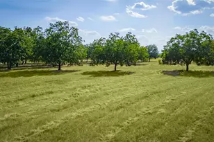 95 Loma Ln, Fredericksburg, TX 78624 - Photo 3