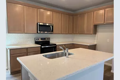 111 Elm Branch Trail, Taylor, TX 76574 - Photo 3