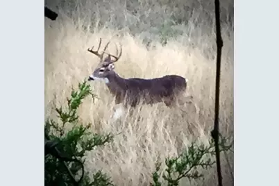 920 Crosswind Drive, Blanco, TX 78606 - Photo 19