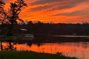 537 Co Rd 1596, Hughes Springs, TX 75630 - Photo 37