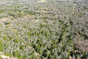 6615 Co Rd 308, Caldwell, TX 77836 - Photo 11