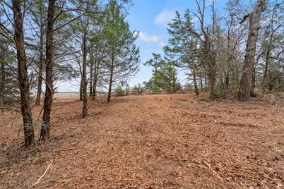 Tbd County Road  330, Milano, TX 76556 - Photo 3