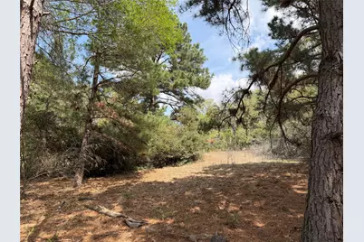 118 Edmonson Ranch Road, McDade, TX 78650 - Photo 7