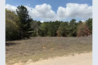 118 Edmonson Ranch Road, McDade, TX 78650 - Photo 9