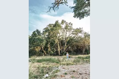 17650-A Hamilton Pool Road, Austin, TX 78738 - Photo 3