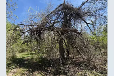 1285 Burdette Wells Road, Lockhart, TX 78644 - Photo 13