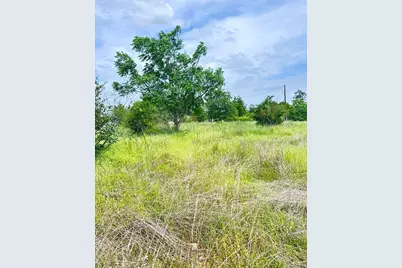 136 Wild Bird Loop, Smithville, TX 78957 - Photo 9