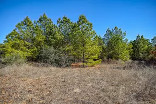 129 Country Air Dr, Bastrop, TX 78602 - Photo 39