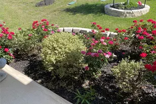 123 Wichita River Rd, Hutto, TX 78634 - Photo 35