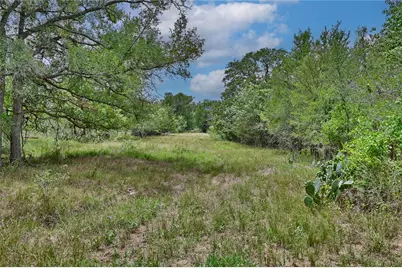 Lot 3-8 (3.001 Acres) Starlight Path, Red Rock, TX 78662 - Photo 7