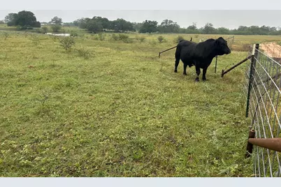 957 Johnson Farms Road, Harwood, TX 78632 - Photo 11