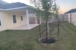 457 Blue Hibiscus Dr, Liberty Hill, TX 78642 - Photo 19